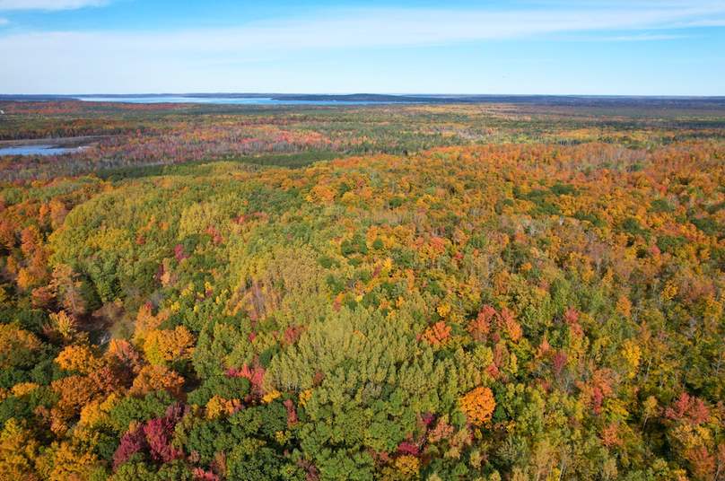 Screenshot 2025-10-29 at 11.36.12 AM