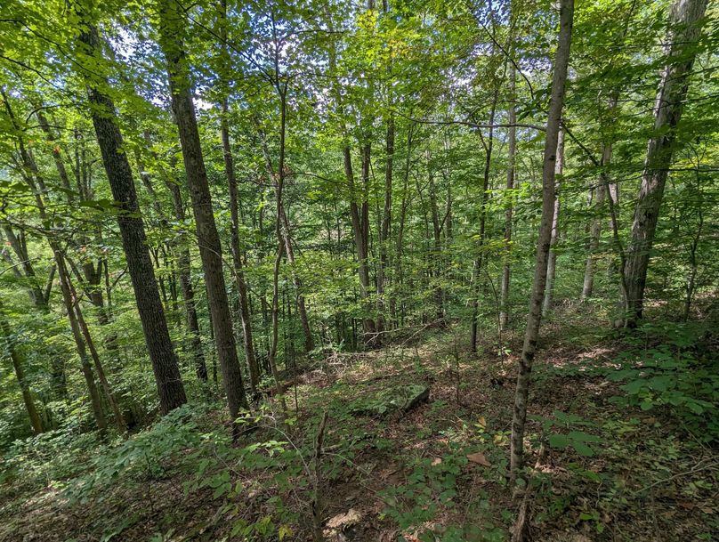 PXL_20230908_181241562