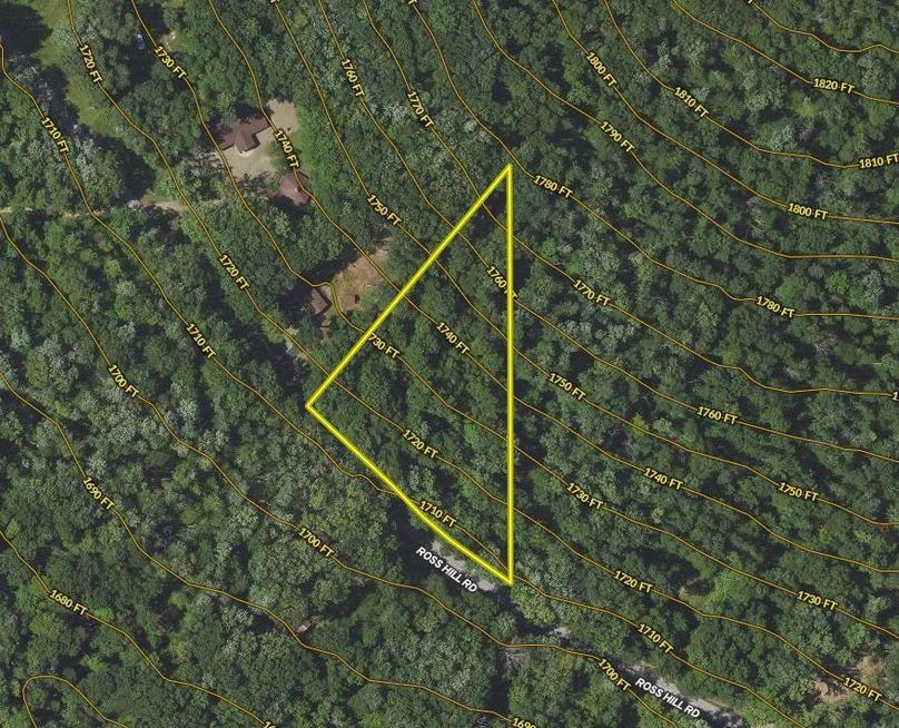 Screen Shot 2024-01-31 at 11.15.31 AM