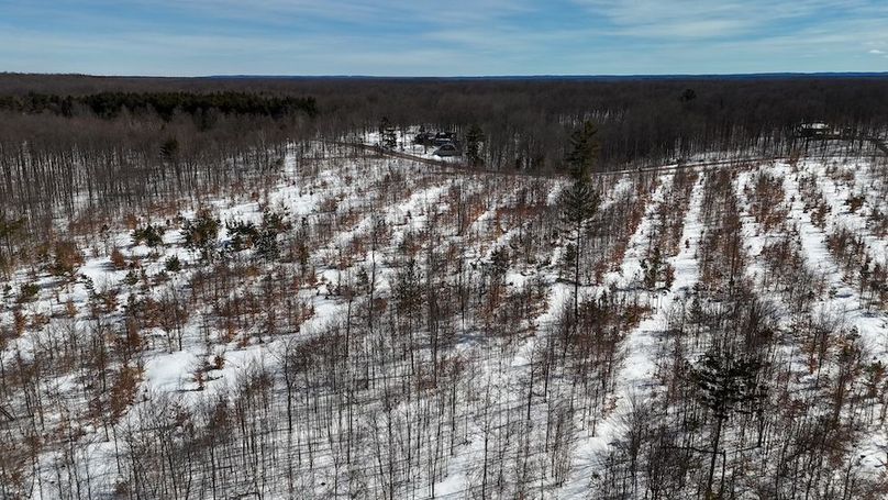 DJI_20260327115924_0355_D