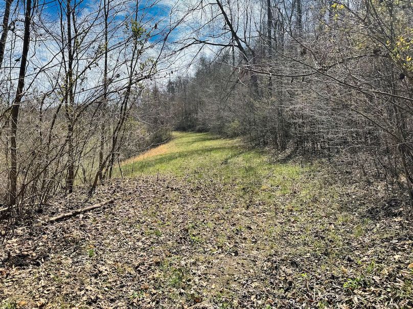 039 at the end of the road at the valley head