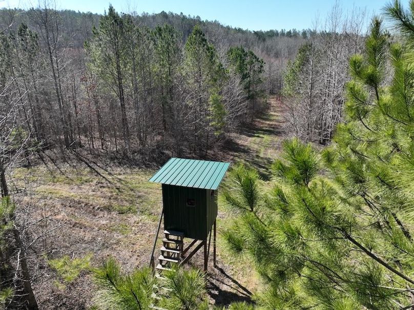 DJI_0962