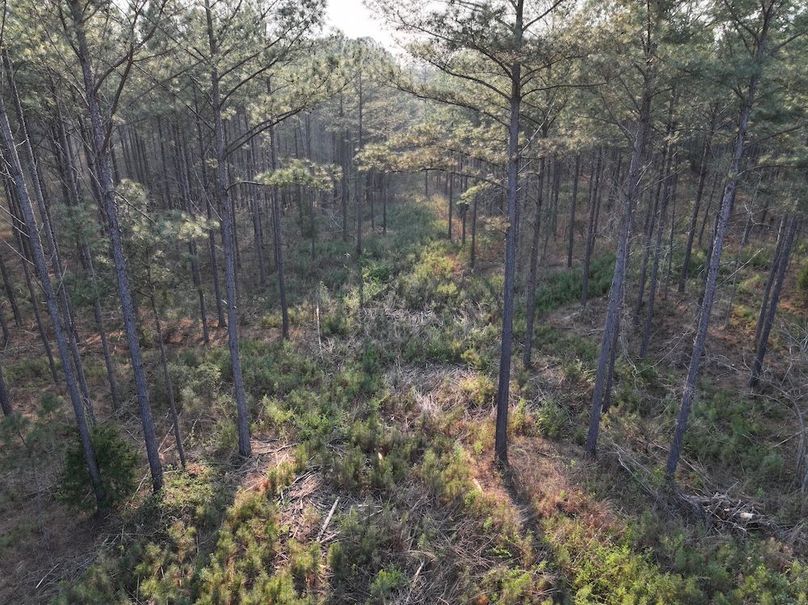 F049 - 117 Acres - Drone-4