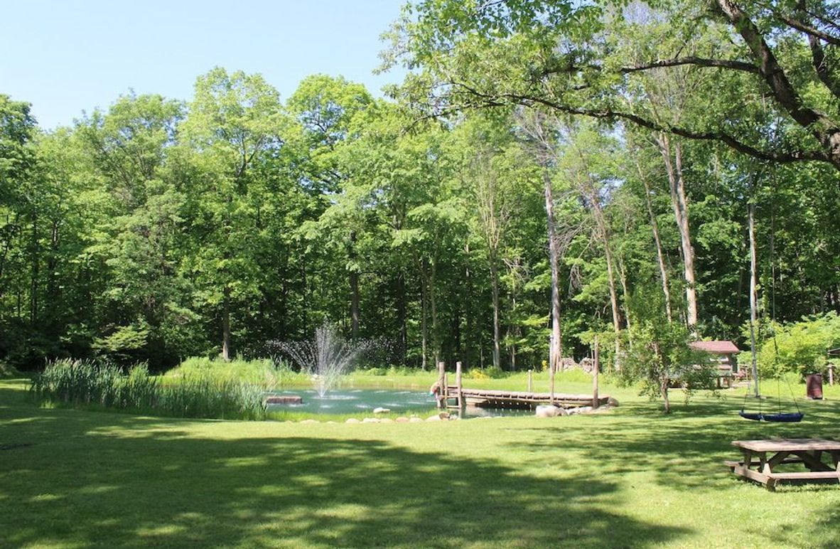 back yard 4