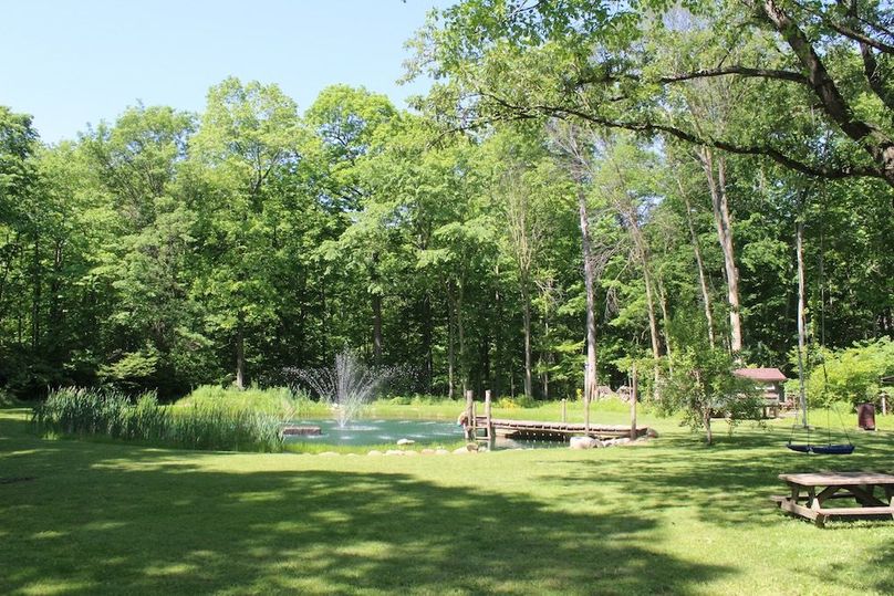 back yard 4