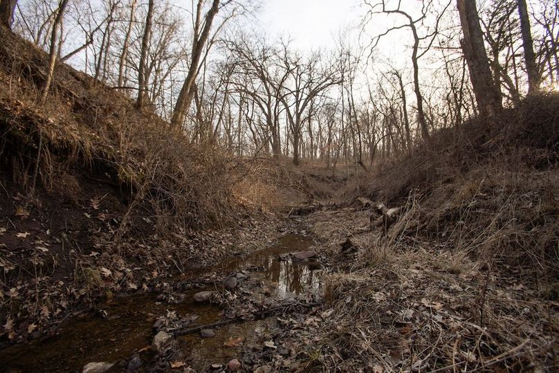 PAGE CO IA 130+_-_35