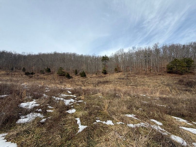 009 the large open field area in the west part of the property