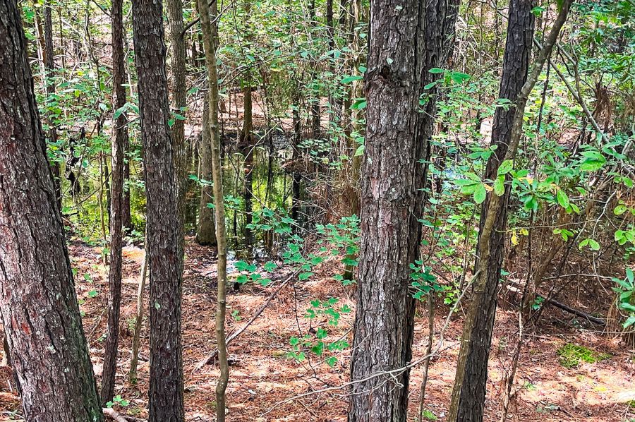 BladenNC_0022