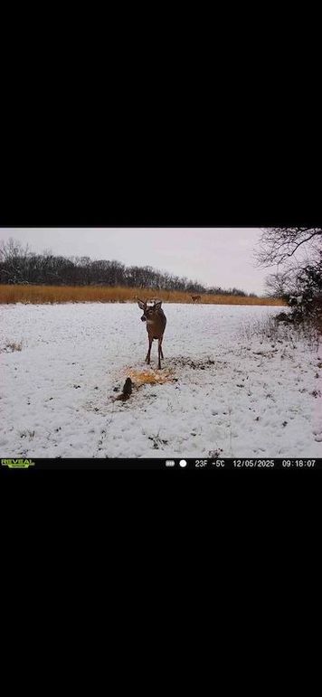 Screenshot 2026-02-27 at 4.01.55 PM