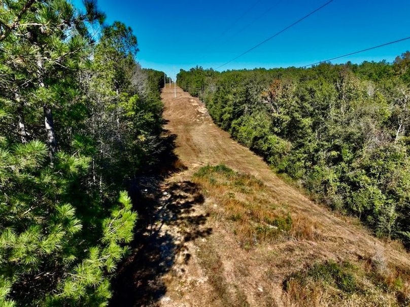 6B3E6D87-5AD0-456F-9B0E-46B4F4DB5F09_1_105_c