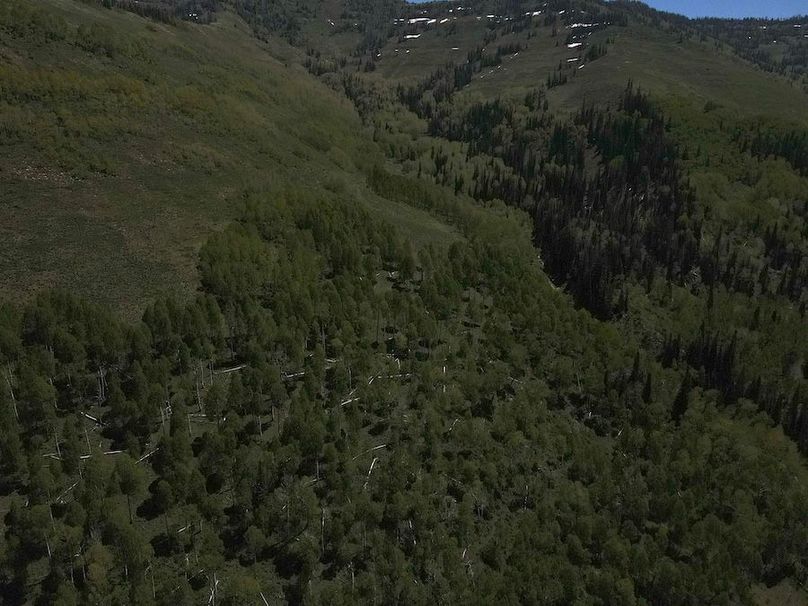 Copy of Photo_1080295616_DJI_192_jpg_4699953_0_202261412534_photo_original.jpg