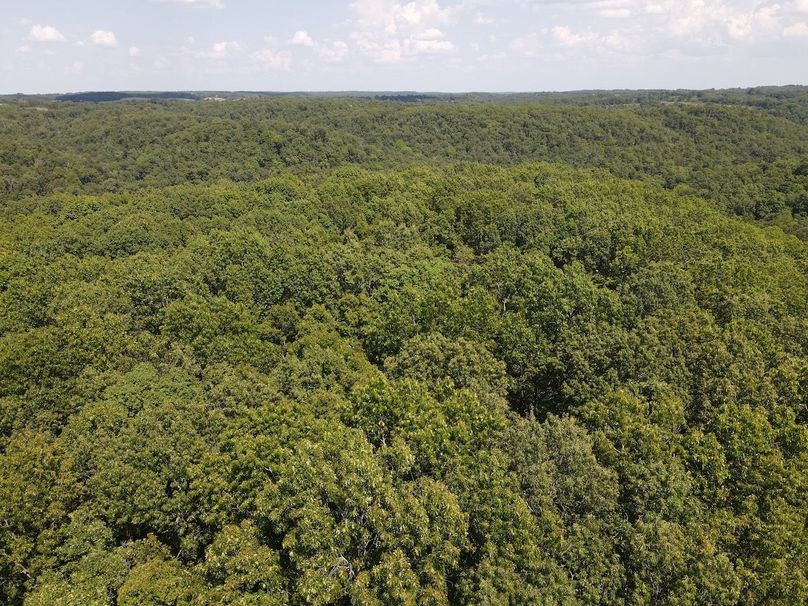 dji_fly_20250818_150440_650_1755547491380_photo