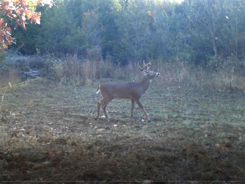 Screenshot 2024-03-02 135154