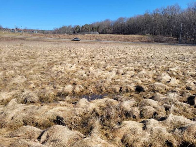 11067406-2SKgPNvgcD1l7Nzq