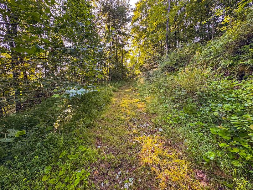 Lewis, WV 82.87 AC Barger-076