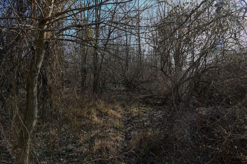 vandalia 450 (2)-1721