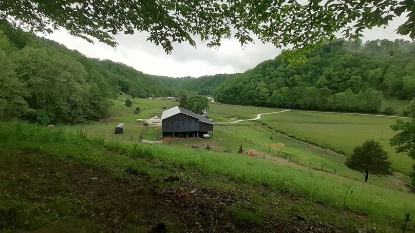 017 the view as you come out of the woods behind the barn-2