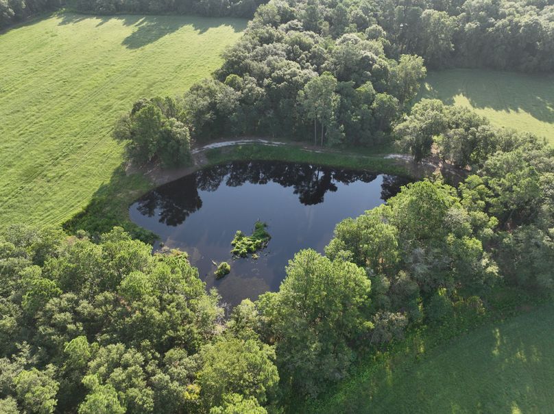 dji_fly_20230813_084108_544_1691930537668_photo