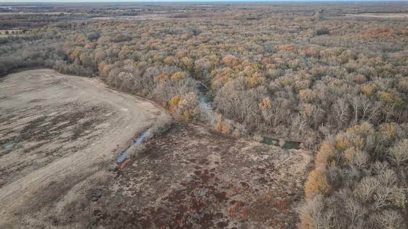 St. Francis 216.9 Calvin Parker Farms Profile -35