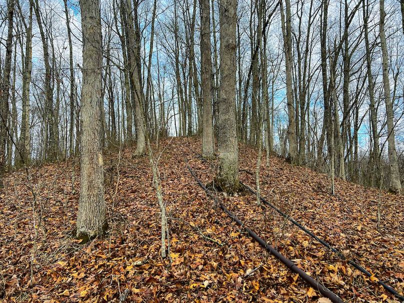 Calhoun, WV 225.69 AC Duffield-70