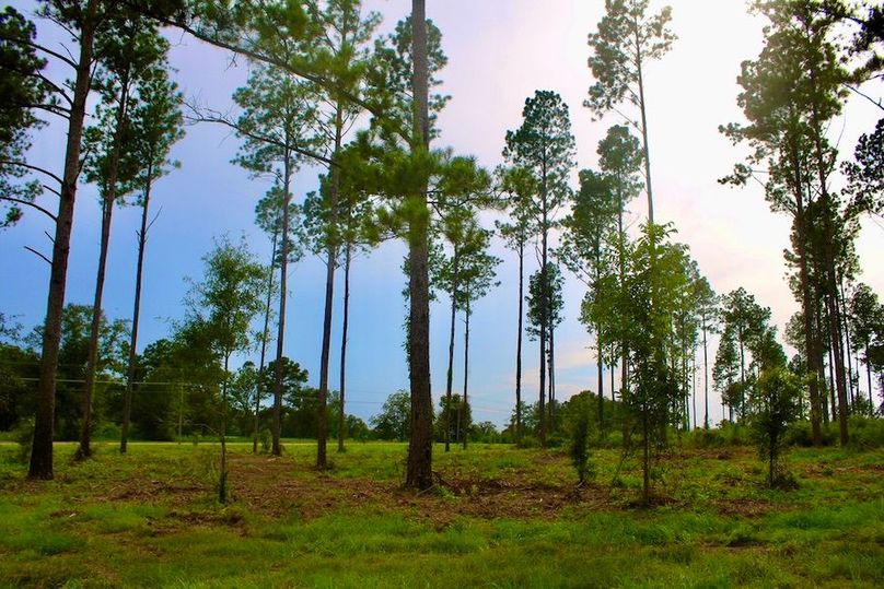 67AF5F1F-DBC9-469D-A7EA-634032BF3DF2_1_105_c