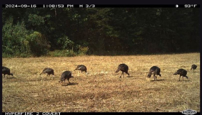 7D0660D2-C5F1-4A6B-98B2-E072B8F85FDA_1_201_a