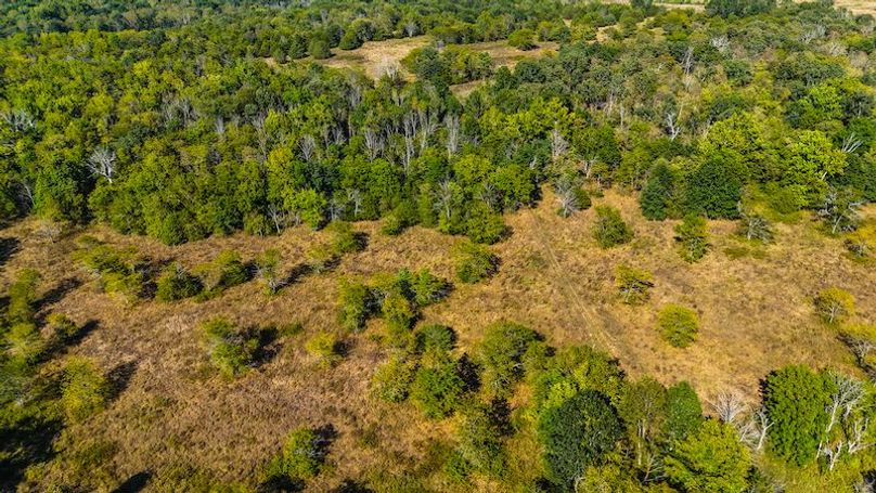 DJI_20250905042513_0072_D