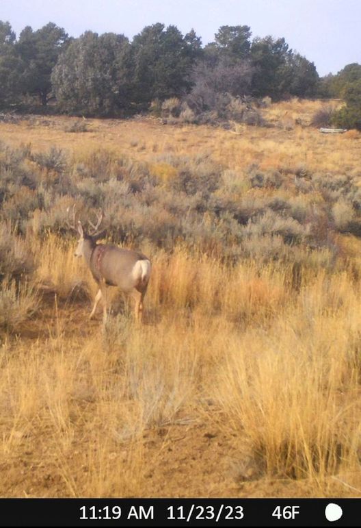 Copy of Screenshot_20231123-191019