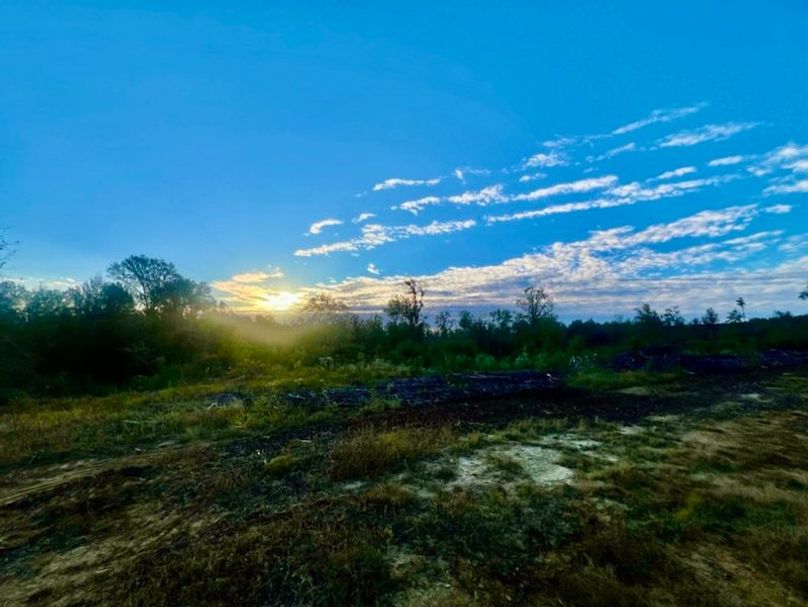 7C24D4E6-5648-49A4-B4ED-F1B404D61888_1_105_c