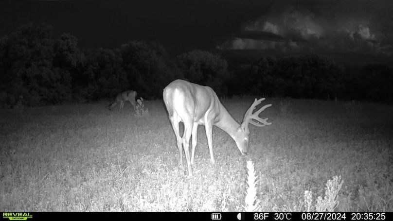 TRAIL CAM 24