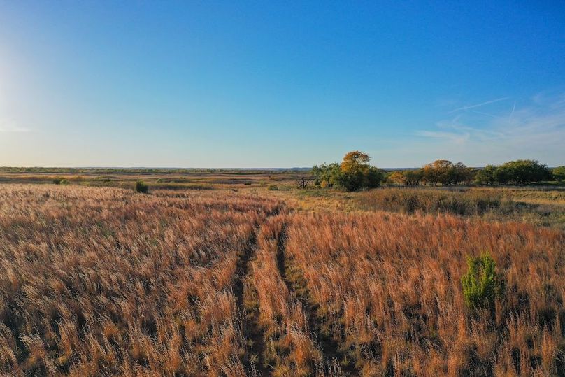 org_fdcd4032574c27df_1762732326000