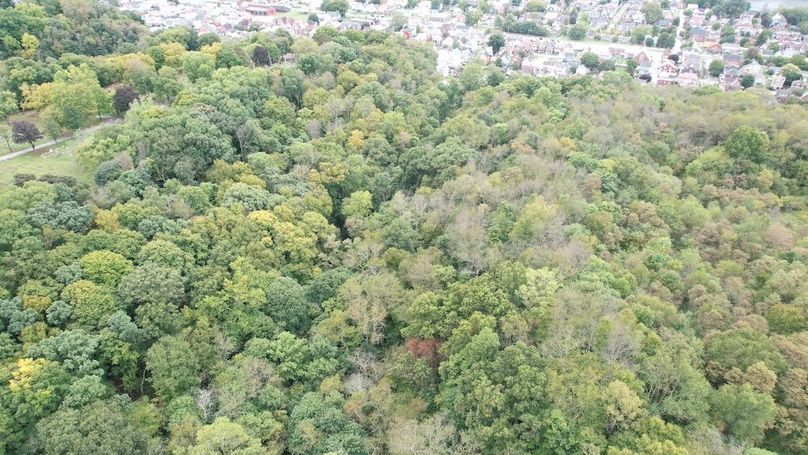 dji_fly_20240924_132020_704_1727198688873_photo