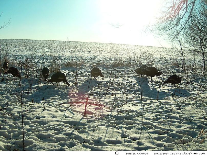 2024-1129-161843_000422