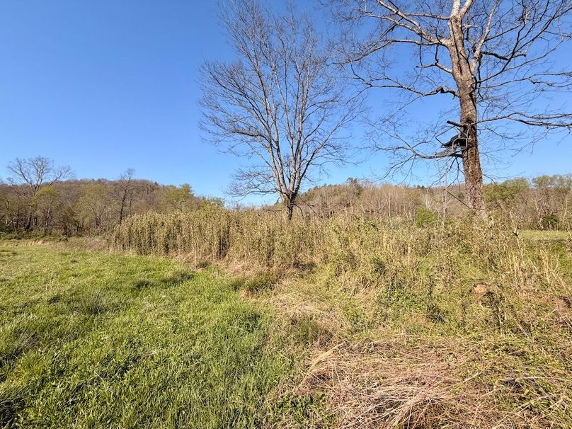 Scott Co TN 286 Keeton_032