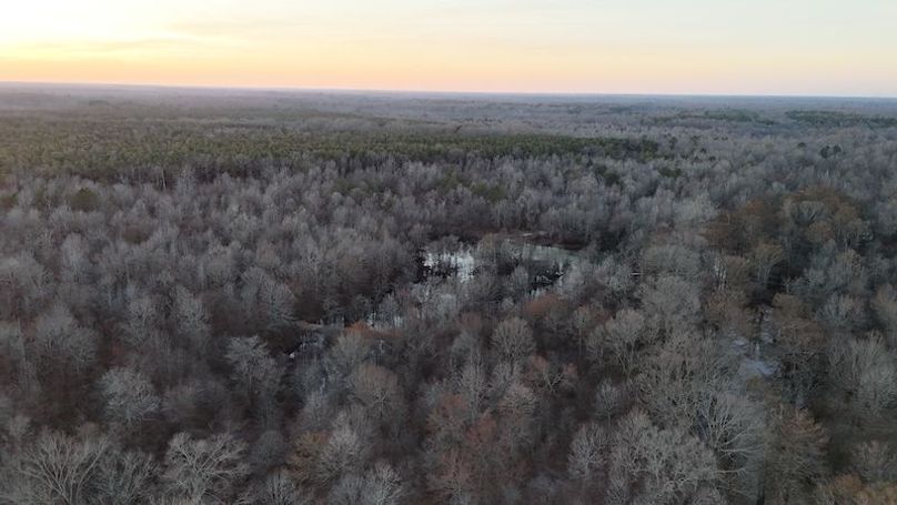 311 new20260217_0462