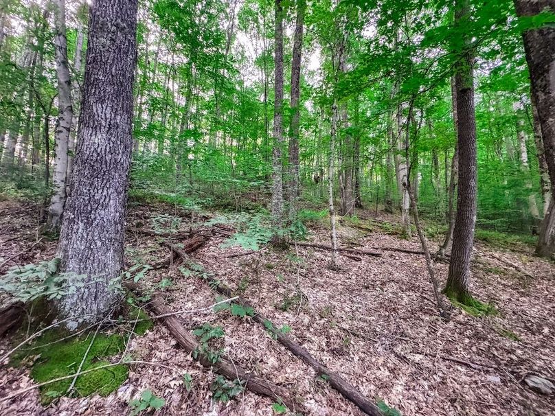 Webster, WV 42 AC Barger-19