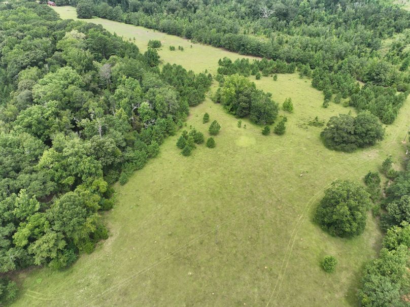 dji_fly_20230803_122352_478_1691080516606_photo