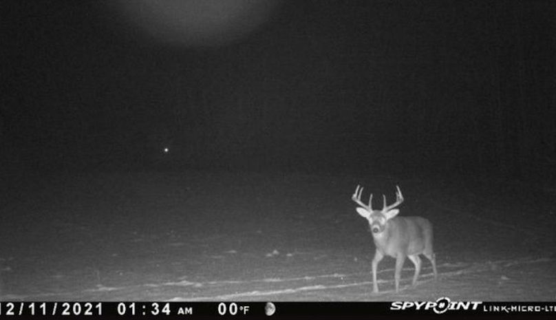 Screenshot 2021-12-11 at 5.29.43 PM