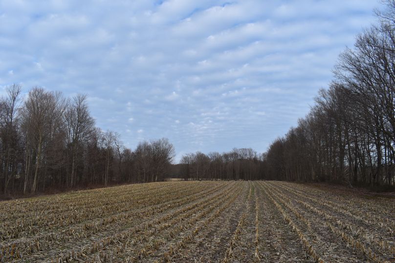 Dsc 0069