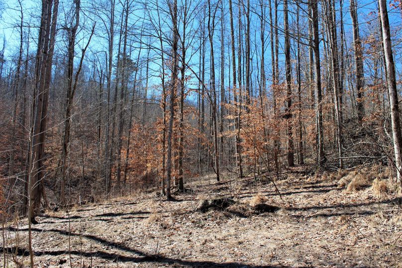 012 another of the flat areas for cabin or food plots