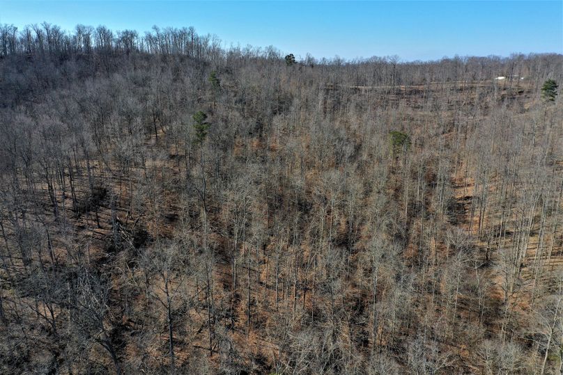 014 drone shot from the center of the property looking west