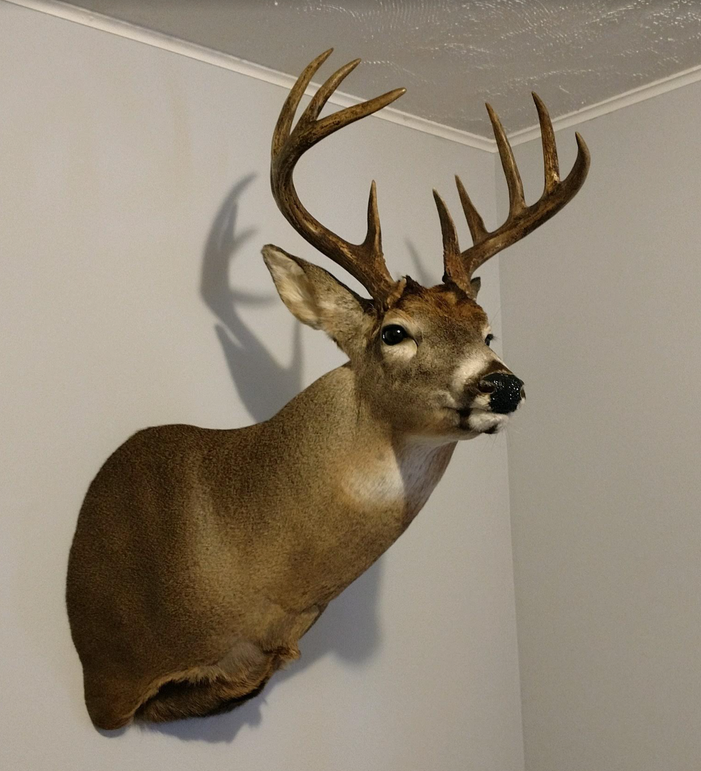 Screen shot 2021-03-03 at 6.48.09 am