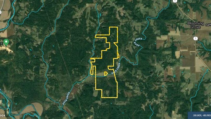 Parcel 1- little duck