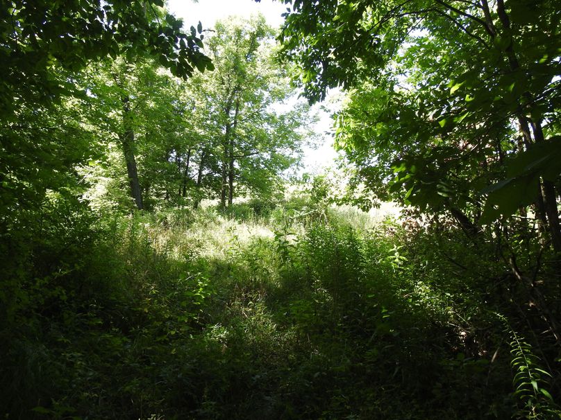 Dscn0008