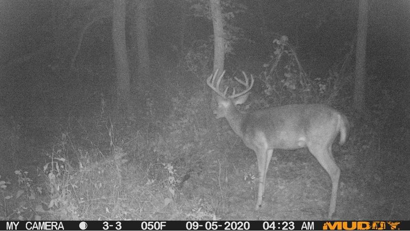 4669873bf9124fd69d6fd9b39e72a369