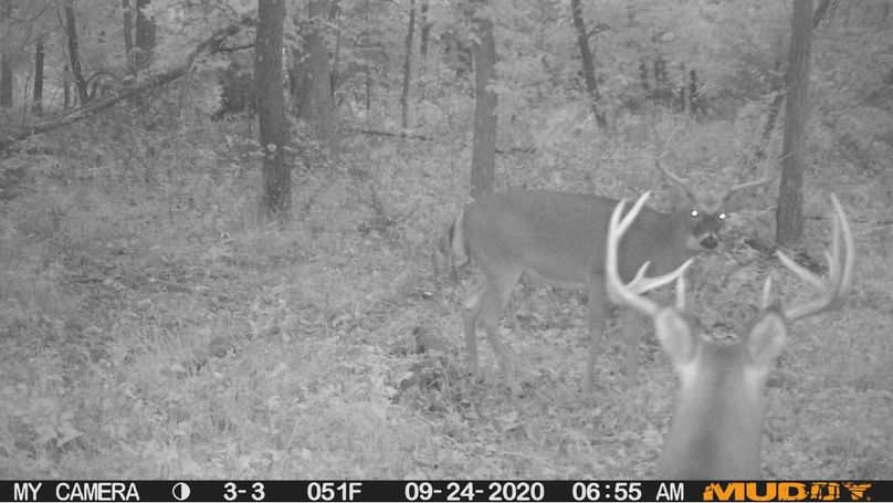 46dc6fd5b088475399b60929ce421786