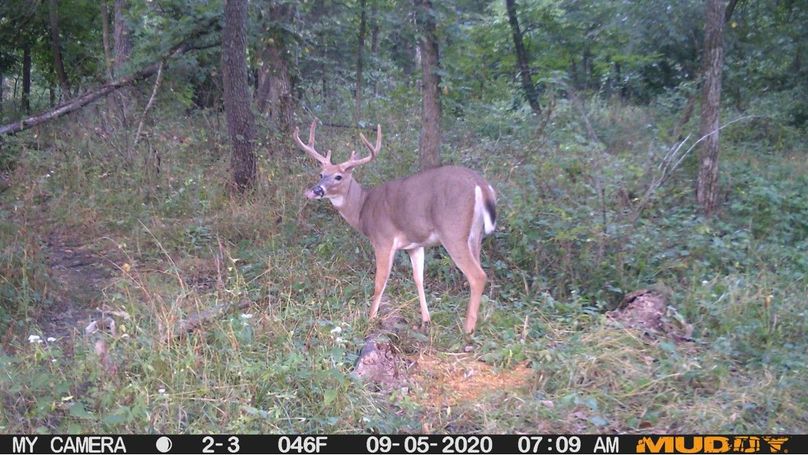 4ba03a9cf9c948c887dbb84786e000a4