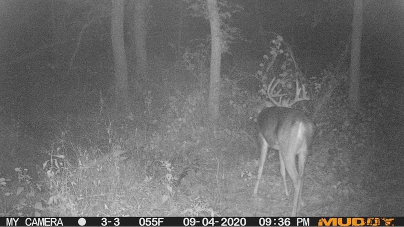 4e8bdddaf6274bd297866a78c3ac9376