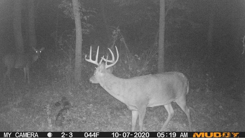 5af6cebccb5742e3a9a6f3a3406bcad6