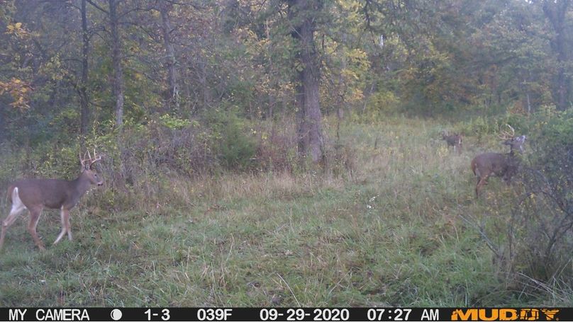 6489e79c2e5543fb923778cdfb783fb7